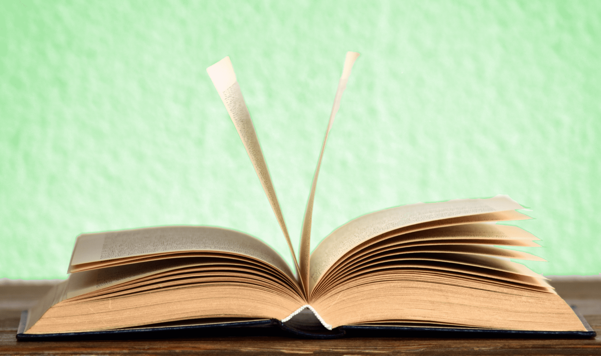 5 libros sobre el reciclaje que no te puedes perder